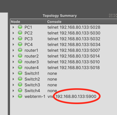 Finding VNC IP and port